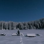 Pokljuka; Foto: Aleš Krivec / Unsplash