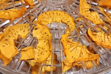 Koliko posušenih kakijev lahko pojemo na dan in kdaj postane preveč?