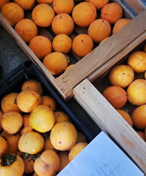 Če boste tako shranili kakije, vam bodo zdržali do naslednjega leta