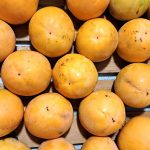 Shranjevanje kakijev