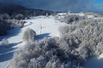 Pet presenetljivih stvari, ki jih niste vedeli o snegu