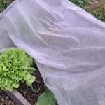 Solata, zaščita za prvi sneg