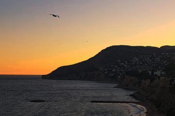 Zakaj se v Španiji stemni kasneje kot drugje v Evropi?