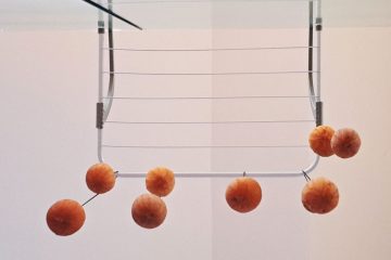 Sušenje kakijev po metodi hošigaki, ki sem jo izvedel kar na stojalu za perilo za tri evre