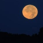 Super Luna, november 2025