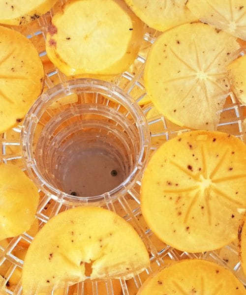 Zakaj je sušenje kakija pri 55 °C najboljša izbira za popoln okus?