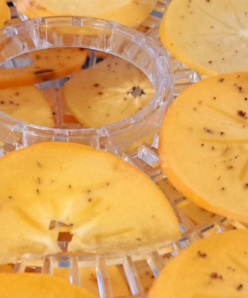 Trik, zaradi katerega bodo posušeni kakiji dišali še bolj