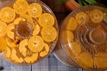 Najboljši nasvet, če boste v novembru še sušili kakije