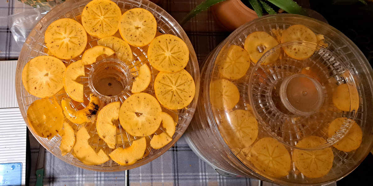 Najboljši nasvet, če boste v novembru še sušili kakije