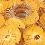 Sušenje kakijev v sušilniku za sadje