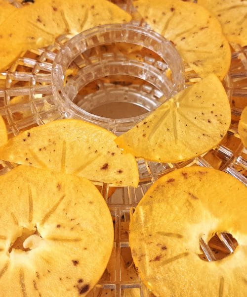 Sušenje kakijev v sušilniku sadja: popoln vodič za začetnike