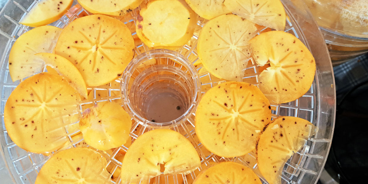 Zakaj je sušenje kakija pri 55 °C najboljša izbira za popoln okus?