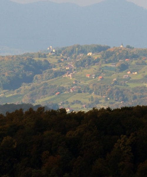 Vinji Vrh – štiri vasi z istim imenom, a vsaka s svojo zgodbo