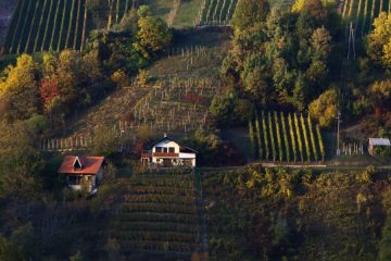 Vinska Gora, Vinska Gorica in Vinski Vrh – kraji, kjer ime pove zgodbo