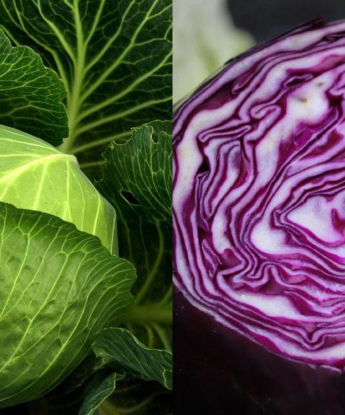 Vitamin, ki ga zlahka dobimo doma – a ga Slovenci decembra skoraj ne uporabljamo