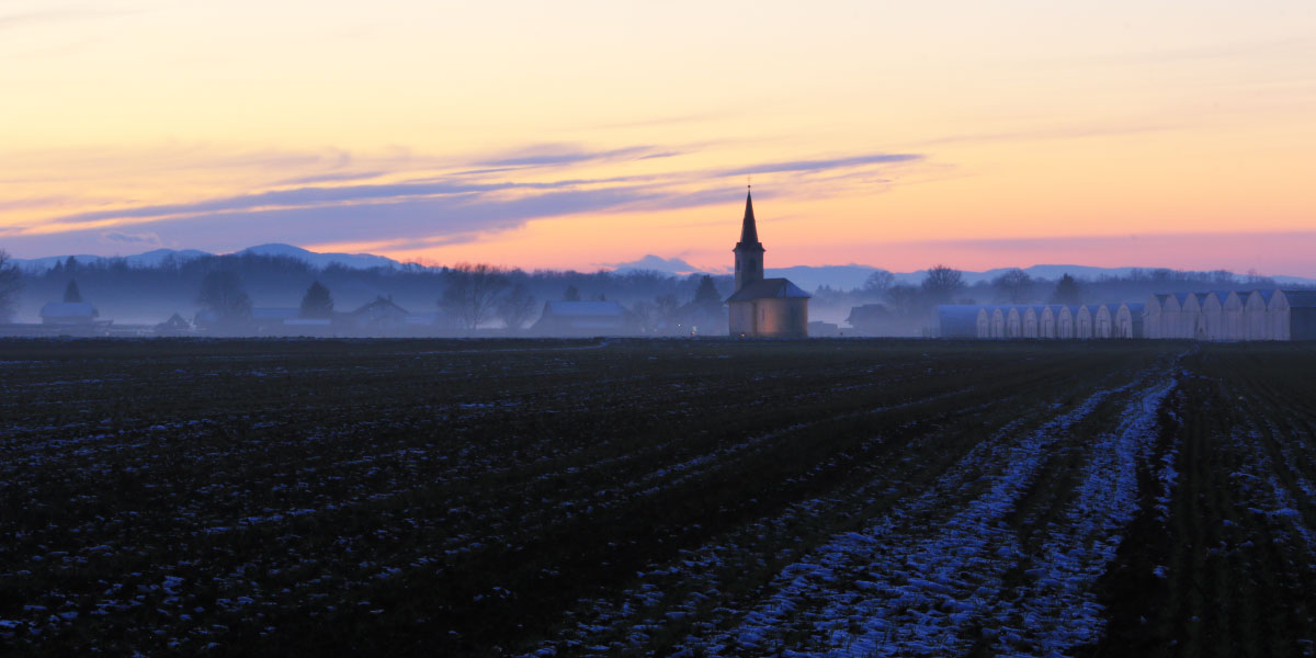 Cerkev Sv. Miklavža na Krškem polju