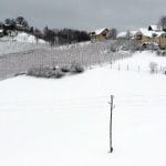 Decembrska jutra