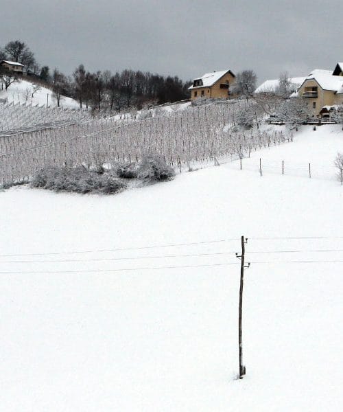 Jutro, ki zadiha počasneje: zakaj so prvi decembrski dnevi tako posebni