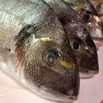 Kako izbrati pravo ribo?