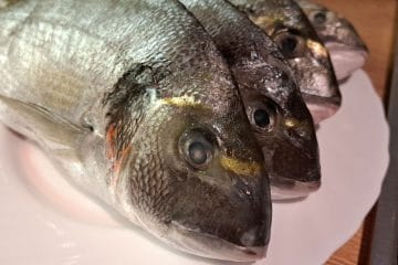 Kako izbrati orado? Napake, ki jih ljudje najpogosteje spregledajo