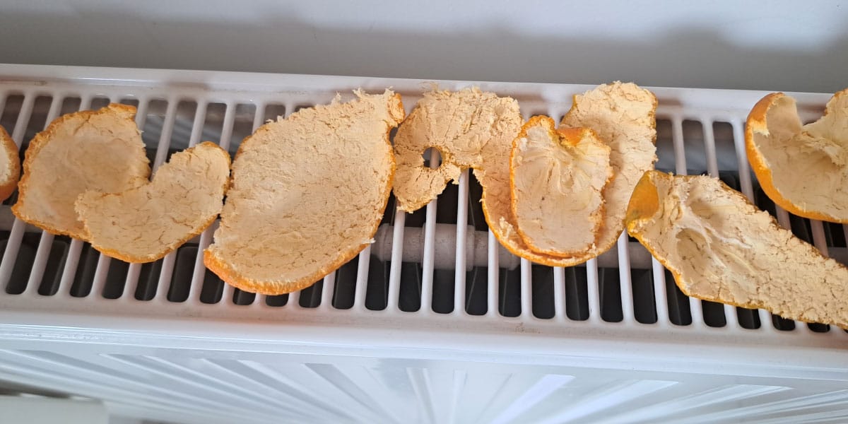 Radiator in mandarine