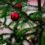 Naravna novoletna jelka