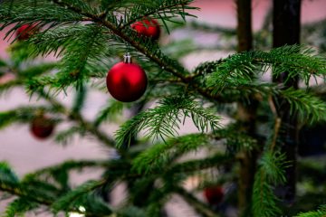 S čim poškropiti novoletno jelko, da bodo iglice zdržale do januarja?
