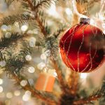 Novoletna jelka, iglice