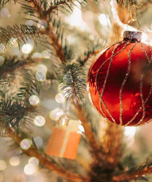 Iglice z novoletne jelke odpadejo zaradi ene stvari v vašem domu