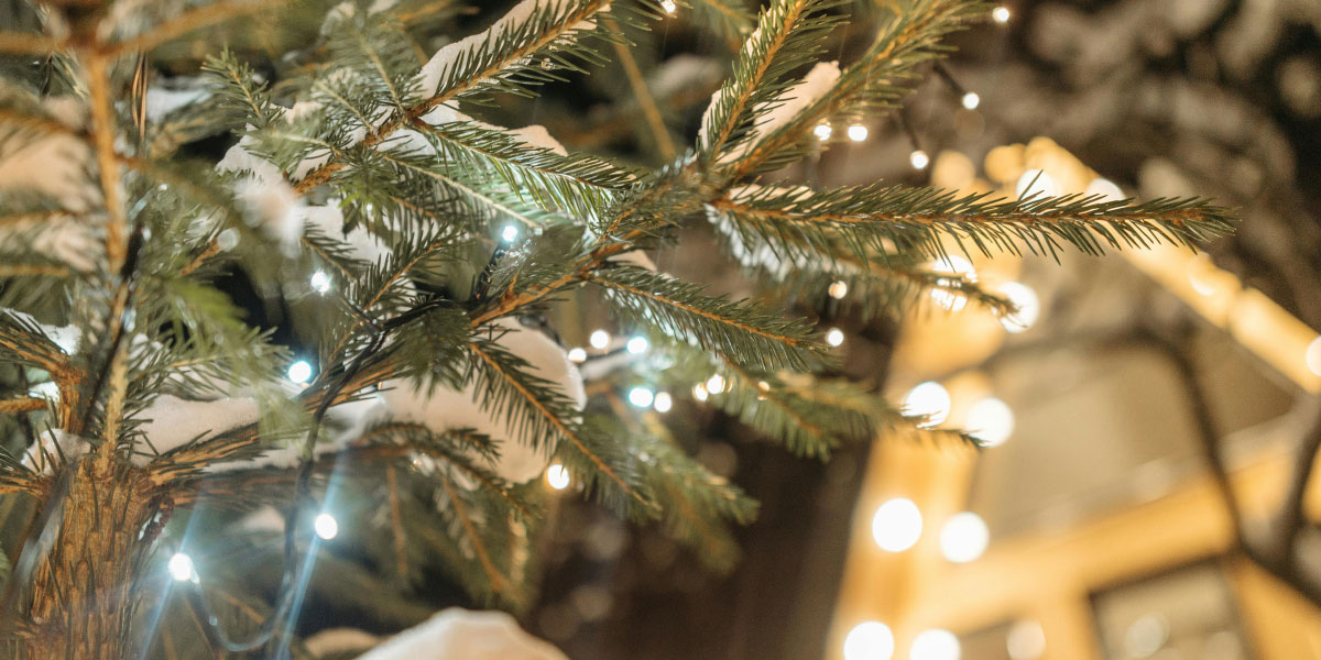 Najbolj priljubljene barve domačih novoletnih lučk: kaj izbrati za popolno praznično vzdušje
