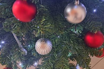 Večji okraski naj gredo na smreko pri dnu – to je razlog, zakaj