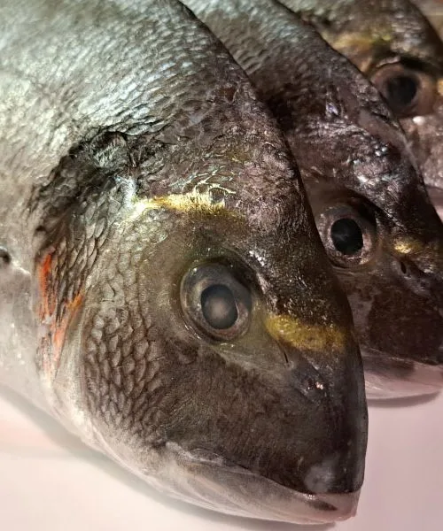 Kaj se lahko naučimo iz preprostega zimskega nakupa hrane