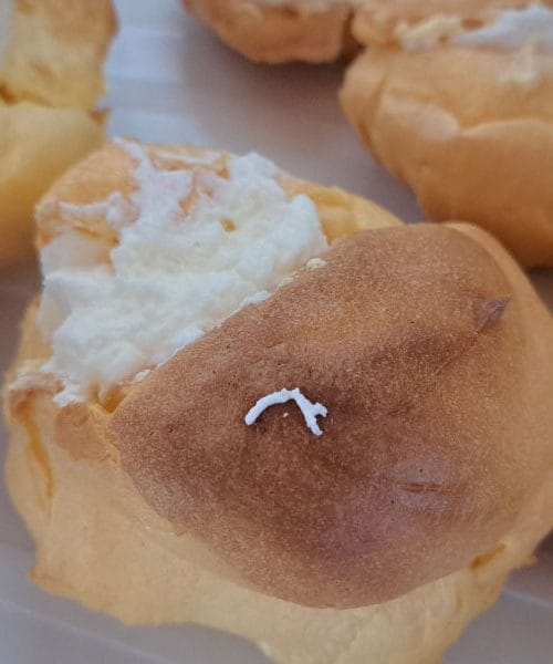 Princeskini krofi: zgodba o sladici, ki je preživela generacije