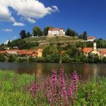 Sevnica
