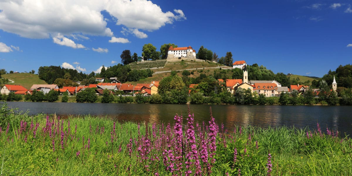Sevnica
