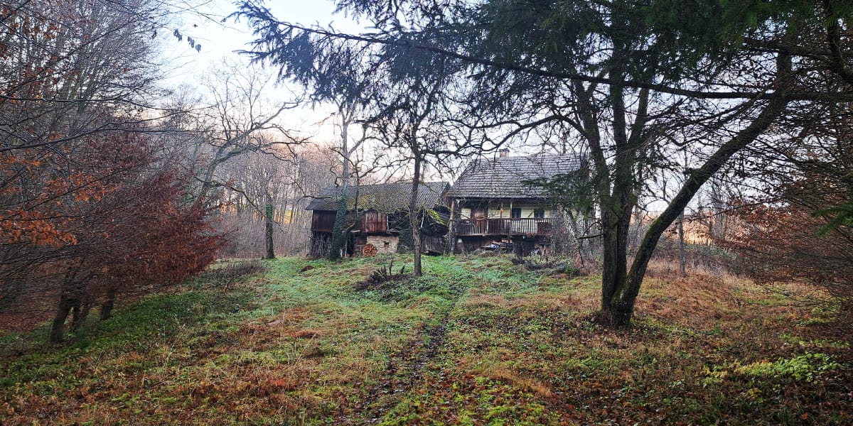 Stara hiša na robu gozda