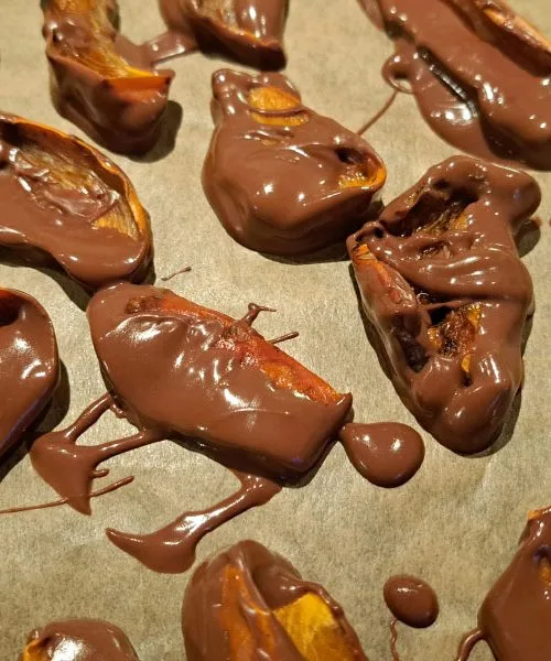 Ne boste verjeli, kaj se zgodi, ko suho sadje potopite v toplo čokolado