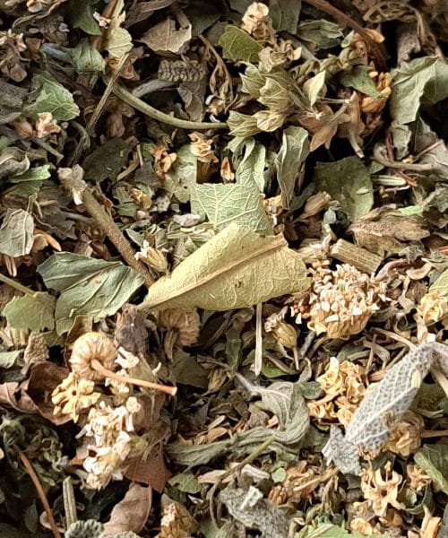 Znate pravilno pripraviti čaj? Koliko časa ga morate kuhati?