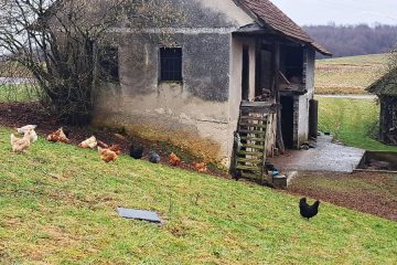 Ta prizor srečamo samo še v nekaterih slovenskih krajih