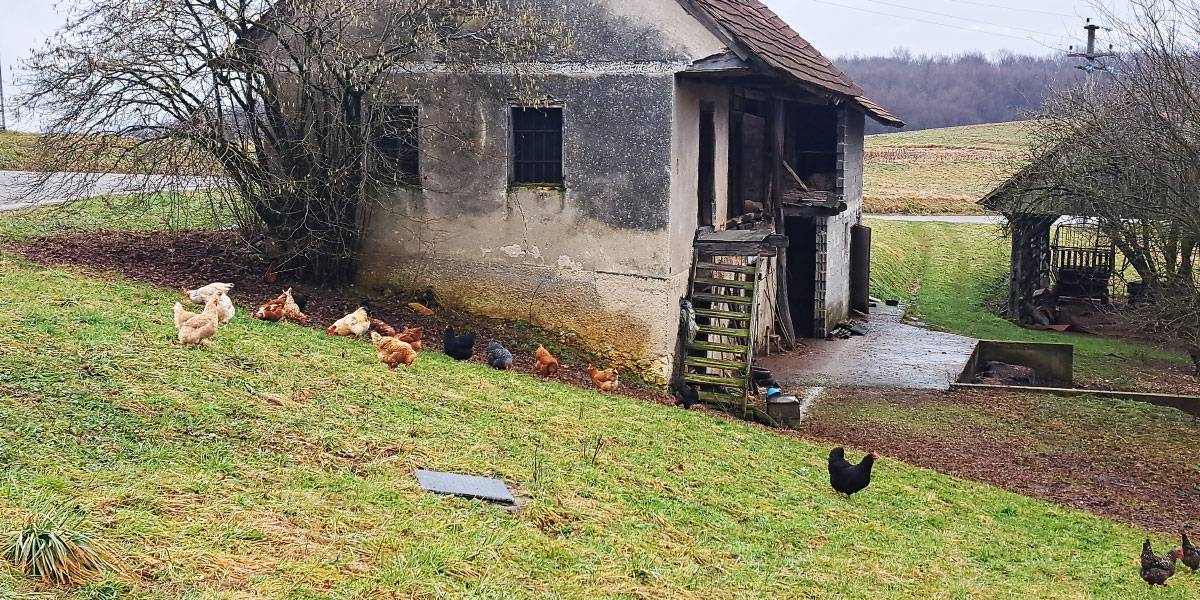 Ta prizor srečamo samo še v nekaterih slovenskih krajih