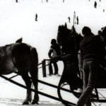 Kranjska Gora, konjska vprega