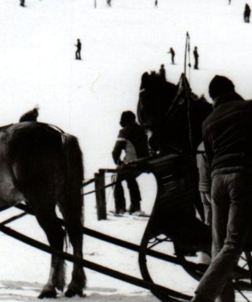 Tako so se nekoč vozili s konjsko vprego po Kranjski Gori, danes pa tega ne vidimo več