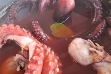 Na severu Španije hobotnico pripravljajo na poseben način