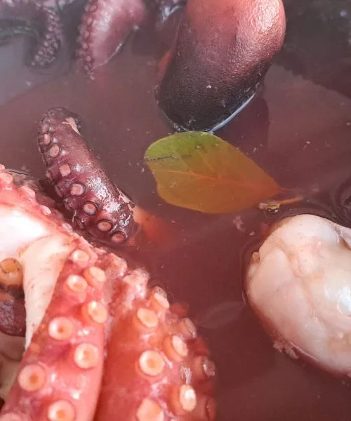 Hobotnico morate pred kuhanjem položiti v vrelo vodo? Trik odloča o mehkobi