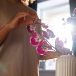 Orhideja, rumeni listi