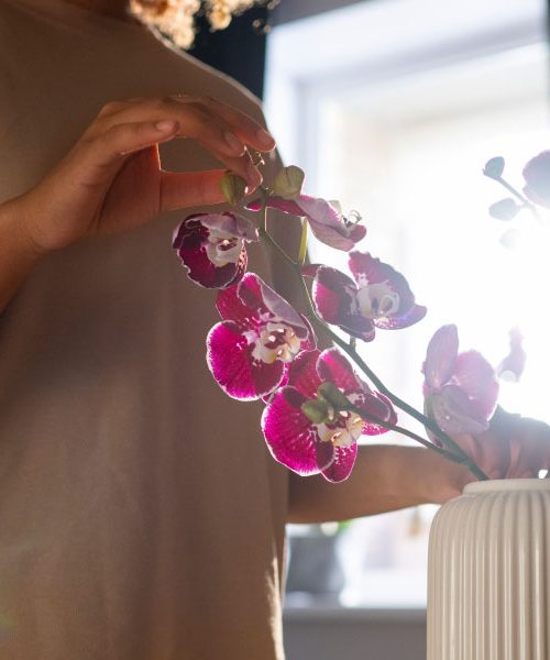 Ste opazili to na orhidejah? Če listi postajajo rumeni, potrebujejo eno stvar