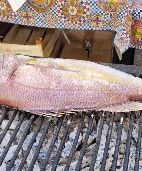 Pečenje zobatca na žaru: kaj morate vedeti, da ribe ne uničite?