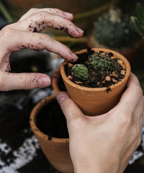 Nekaj trikov za boljšo zemljo že poznate, ne pa še vseh