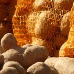 Krompir, shranjevanje