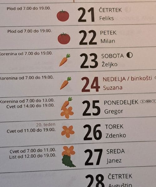 Nikar ne zavrzite starega koledarja: 5 načinov, kako ga v gospodinjstvu koristno uporabiti